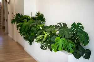 Φωτογραφία χώρου 11